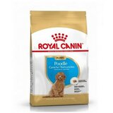 Royal Canin dog puppy poodle 0.5 kg Cene