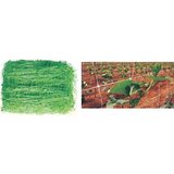 Euro garden PVC Mreža za Penjačice - 2x100m, Rupe 130x130mm | shoptok.hr