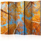  Paravan u 5 dijelova - Autumnal treetops II [Room Dividers] 225x172 Cijene
