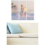Wallity Set slika MDF3010129, 3 dijela | Eponuda.ba