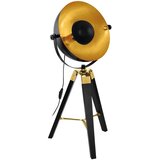 Eglo Stona lampa COVALEDA E27 73,5 cm crna/mesing 49617 Cene