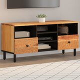 vidaXL TV omarica 100x33x46 cm trden akacijev les Cene