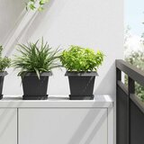  Saksije za biljke 6 pcs Crna 20 x 20 x 16 cm Plastika | shoptok.hr