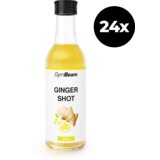 GymBeam ginger shot 24x50ml Cene