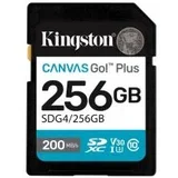 SD 256GB CanvasGoPlusSDXC, r/w:200/160MB/sDSLRs, mirrorless cameras, 4K video