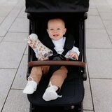 Coccolle Športni voziček Beyla Gold LE | Shoptok.si