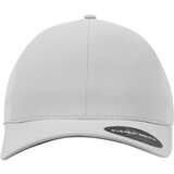 Flexfit Delta Silver Cijene