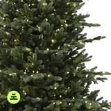 Můj Stromeček Umetna jelka višina 180 cm Spruce Exclusive LED – | Shoptok.si