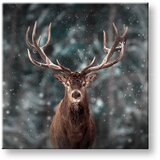  Slike na platnu ŽIVOTINJE_052-12 (moderne slike na platnu) | ePonuda.com