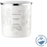 Les Mimosas d‘Hiver Candle 240g