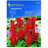 KIEPENKERL Profi-Line Cvetlična semena Rdeča kadulja Johannisfeuer (Salvia splendens, Rdeča) | Shoptok.si