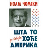 Čigoja Noam Čomski - Šta to u stvari hoće Amerika Cene
