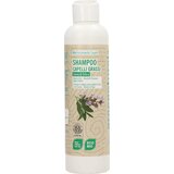 Greenatural šampon protiv peruti – kadulja i kopriva - 250 ml Cijene