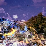 KAPA RECORDS HAIKU GARDEN - Where If Not Now | Eponuda.com