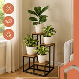  Stalak za cvijeće na 4 razine visine 71 cm RHY | Shoptok.si