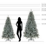  Kavkaska srebrna smrekova 180 cm | shoptok.hr