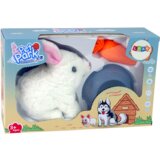  Interactive Bunny Rabbit Mascot White Carrot Bowl | shoptok.hr