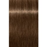 Schwarzkopf IGORA Color 10 10-minutna trajna boja za kosu 6-0 Dark Blonde Natural 60 ml | shoptok.hr