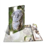 Herma Mapa s elastičnom gumicom A4 PP Glossy Koala | shoptok.hr
