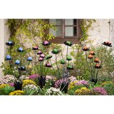 Ambia Home OKRASNA ROŽA | Shoptok.si