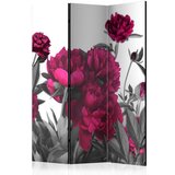  Paravan u 3 dijela - Lush meadow [Room Dividers] 135x172 Cijene