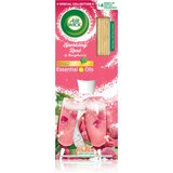 Air Wick Reed Diffuser Sparkling Rose & Raspberry aroma difuzer s punjenjem 25 ml | shoptok.hr