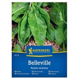 KIEPENKERL Zelenjavna semena Navadna kislica Belleville (Rumex acetosa, Čas žetve: Maj) | Shoptok.si