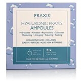 Praxis Laboratorios Hyaluronic Praxis Ampoules serum za lice za sve vrste kože 6x2 ml unisex | shoptok.hr