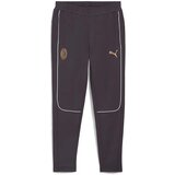 Puma Hlače Acm Casuals Siva Cene