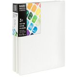 LIQUITEX Basics Slikarsko platno z okvirjem CNV (40 x 30 x 1,8 cm, Bombaž, 3-krat grundirano) Cene