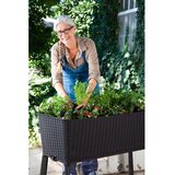 Keter saksija za mini baštu Easy grow 120L, grafit | ePonuda.com