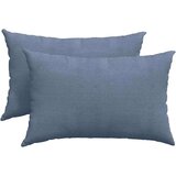 vidaXL Blazine za kavč 2 pcs Modra 60 x 40 cm Žametna tkanina | Shoptok.si