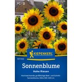 KIEPENKERL Sončnice visoki velikani - 1 pkt. Cene