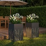  Vrtna saksija 2 kom. Antracit 50 x 50 x 75 cm Čelična vrata | shoptok.hr