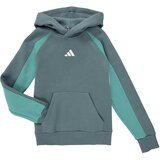 Adidas Seasonal Essentials Colorblock Fleece Hoodie Kids Zelena u
