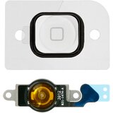 AVIZAR Glavni gumb Home s prikljucnim kablom str. Apple iPhone 5 - bel, (20886161) Cene
