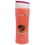 Urban PRO Shower Gel Dream 250ml - Gel za tuširanje | ePonuda.com