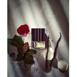 N.C.P. Olfactives 706 Saffron & Oud parfemska voda uniseks 50 ml | shoptok.hr
