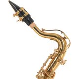 Roy Benson Eb-Alt saksofon za otroke AS-201 - Audio-Kondric | Shoptok.si