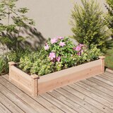 vidaXL Vrtna visoka greda s podlogo 120x60x25 cm trden les jelke Cene