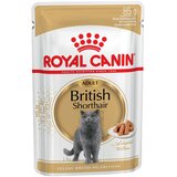Royal Canin British Shorthair Adult v omaki - 12 x 85 g | shoptok.hr