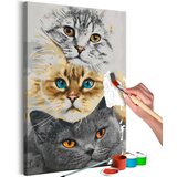  Slika za samostalno slikanje - Cat's Trio 40x60 | shoptok.hr