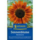 KIEPENKERL Sončnične "Večerno sonce" - 1 pkt. Cene