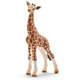 Schleich figura teleta žirafe | shoptok.hr