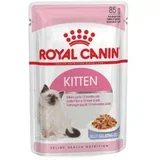 Kitten v želeju - 24 x 85 g