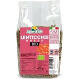 Sapore di Sole bio rdeča leča Cene