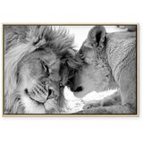  Slika - Lion\'s Love 90x60 U prirodnom drvenom okviru | shoptok.hr