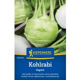 KIEPENKERL Koleraba "Gigant" - 1 pkt. | Shoptok.si