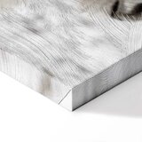  Slika - Horse Mane (1 Part) Vertical 20x30 Premium Print | shoptok.hr