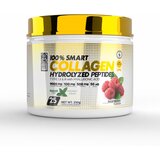 100% Smart Collagen Hydrolyzed Peptides - 250 g - Raspberry | shoptok.hr